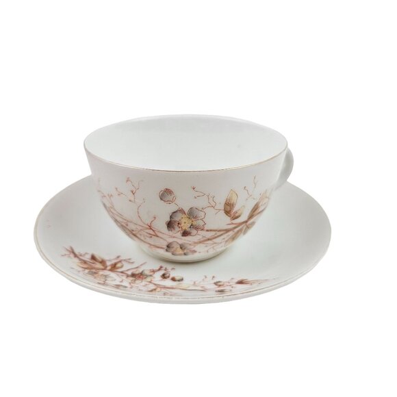 Marx And Gutherz Carlsbad Austria Ceramic Tea Cup Saucer Floral 1459 White Brown - Picture 1 of 9